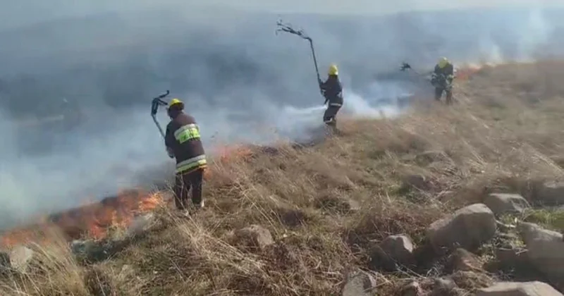 Gədəbəydə dağlıq ərazidə yanğın baş verib VİDEO