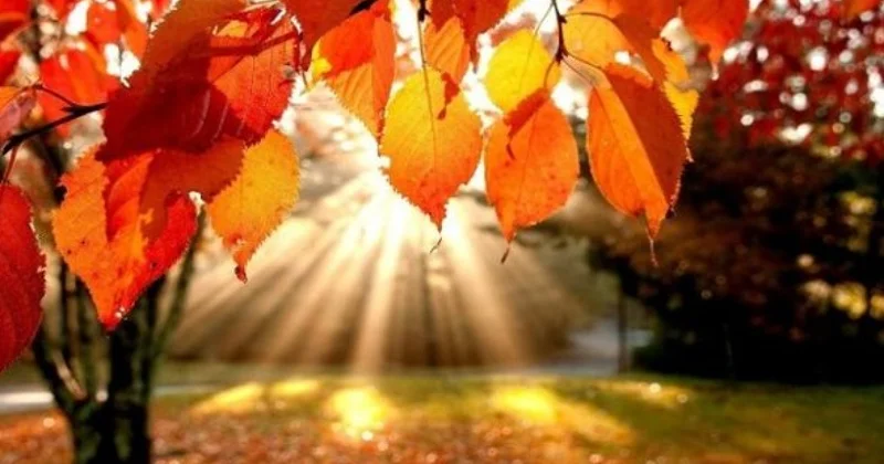 Бакинцев ждет теплая погода