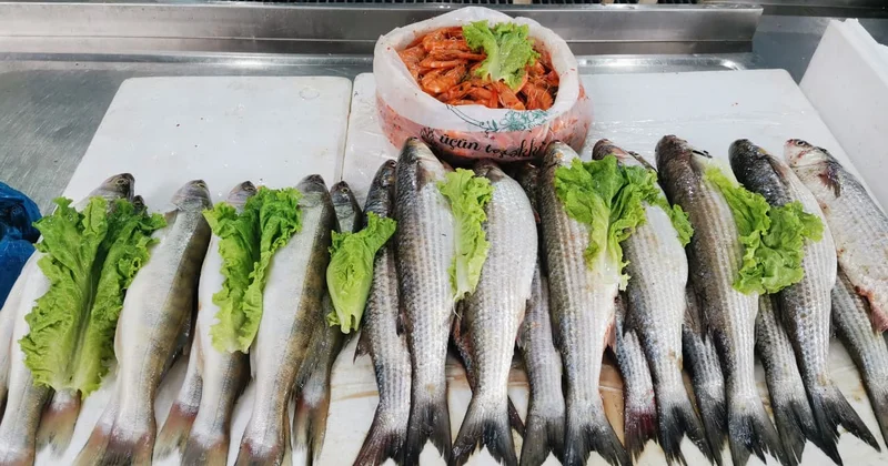 Təzə balıq alarkən nəyə diqqət etməli?