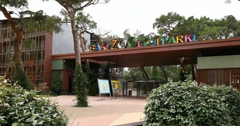 Бакинский зоопарк обменялся животными с Новосибирским Minval Politika