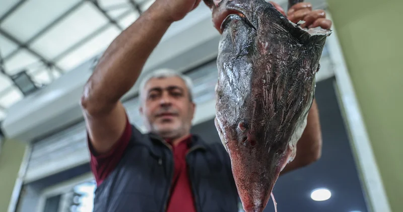 Bakıda balıq məhsullarına təlabat artıb: nələrə diqqət etməli?