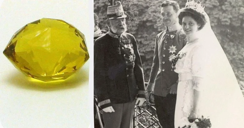 100 il itkin sayılan Habsburq brilyantı Kanadada tapıldı