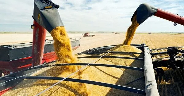 Azərbaycandan keçməklə Ermənistana hər ay 20 min ton...