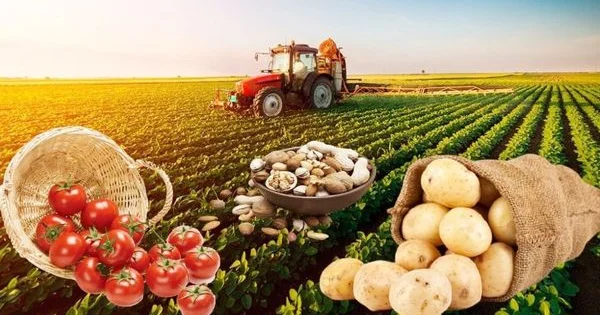 “Kənd təsərrüfatlarının məhvinə yönələn geniş bir plan işləyir”