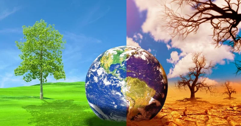 Эта страна привлечет миллиарды долларов на борьбу с глобальным потеплением