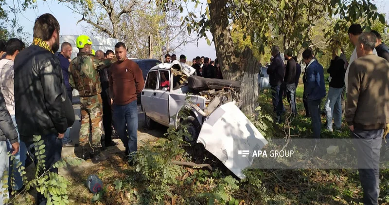 В Губе автомобиль из свадебного кортежа врезался в дерево ФОТО