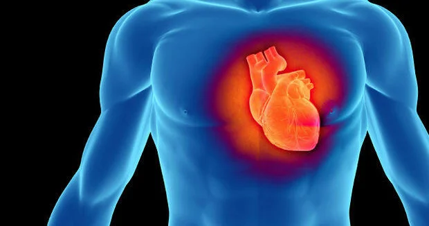 Alimlər ürəyin özünü sağalda biləcəyini göstərən inqilabi kəşf etdilər