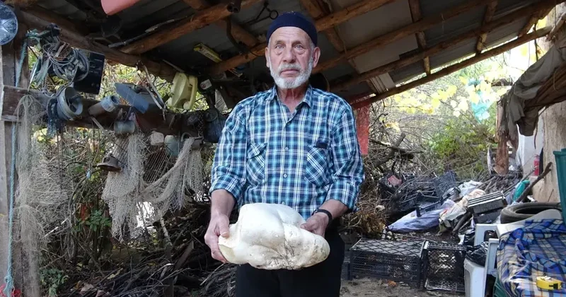 70 yaşlı kişi meşədə tapdı: 3 kilo 114 qram gəldi