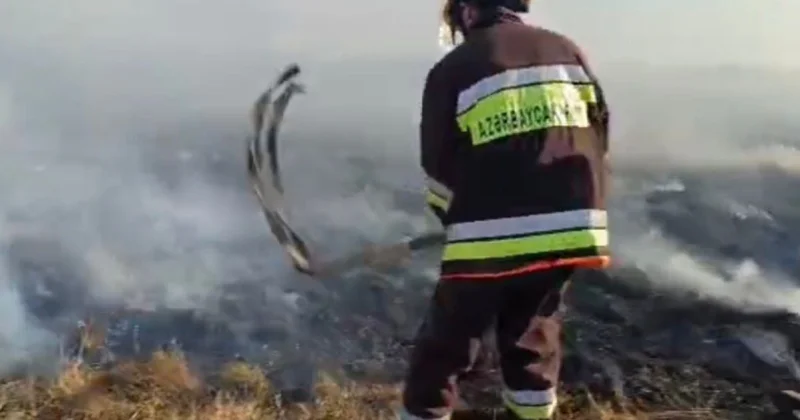Пожар в горах Кедабека фото; видео