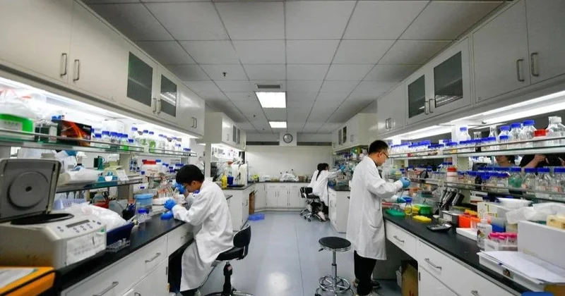 В Китае разрабатывают таблетки долголетия