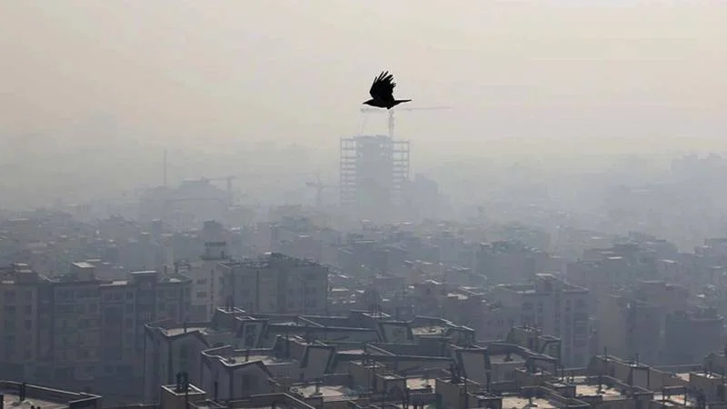 Havanın çirklənməsi xəbərdarlığı: Bütün məktəblər və müəssisələr bağlandı