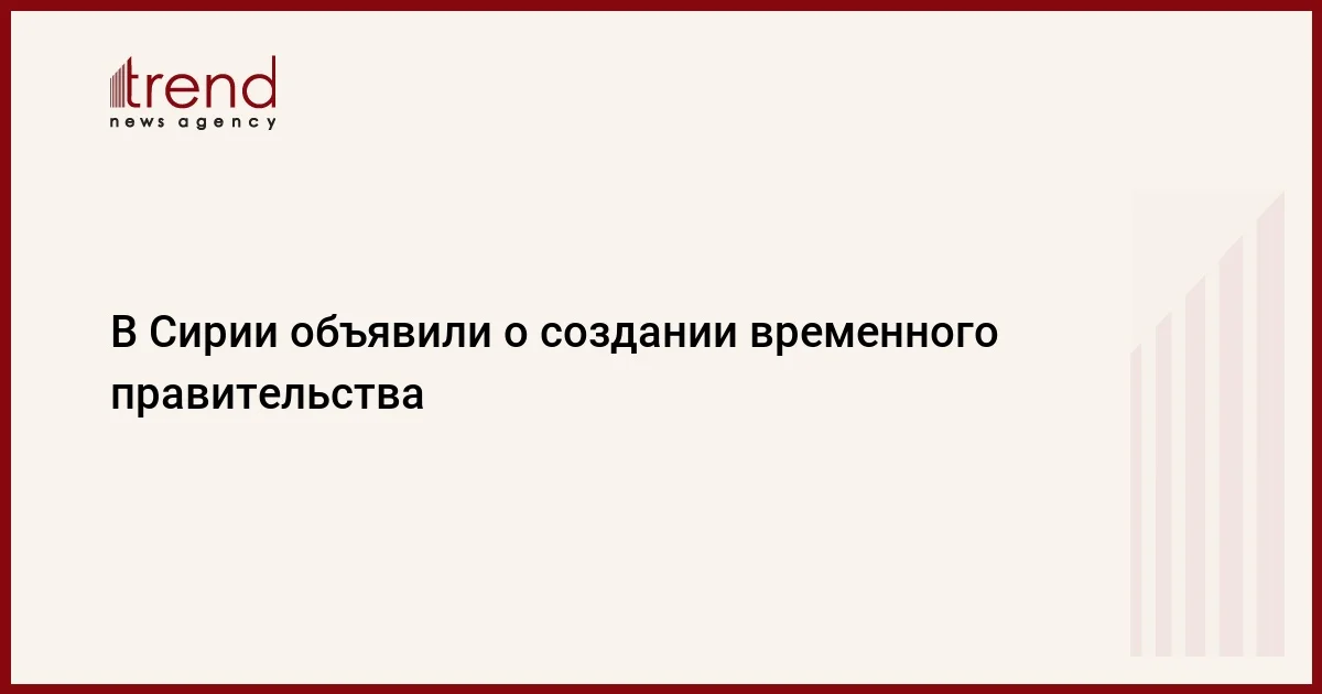 В Сирии объявили о создании временного правительства