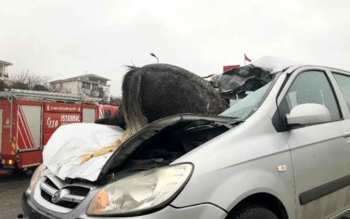 Goranboyda maşın atla toqquşdu Sürücü xəsarət aldı