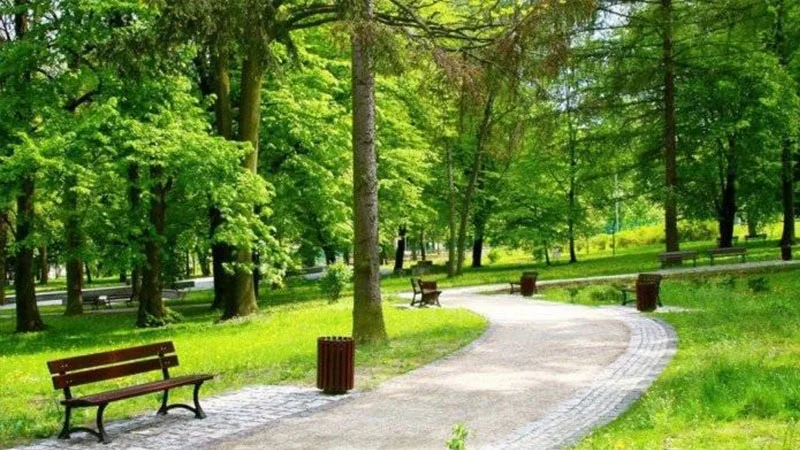 Azad edilmiş ərazilərdə yeni milli park yaradılacaq