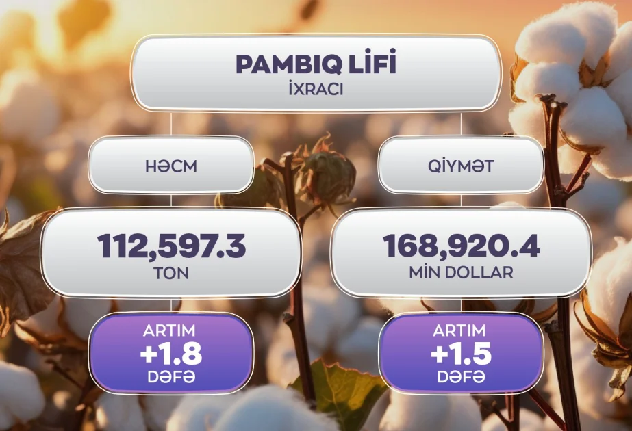 KTN: Pambıq lifi ixracında 1,8 dəfə artım olub AZƏRTAC