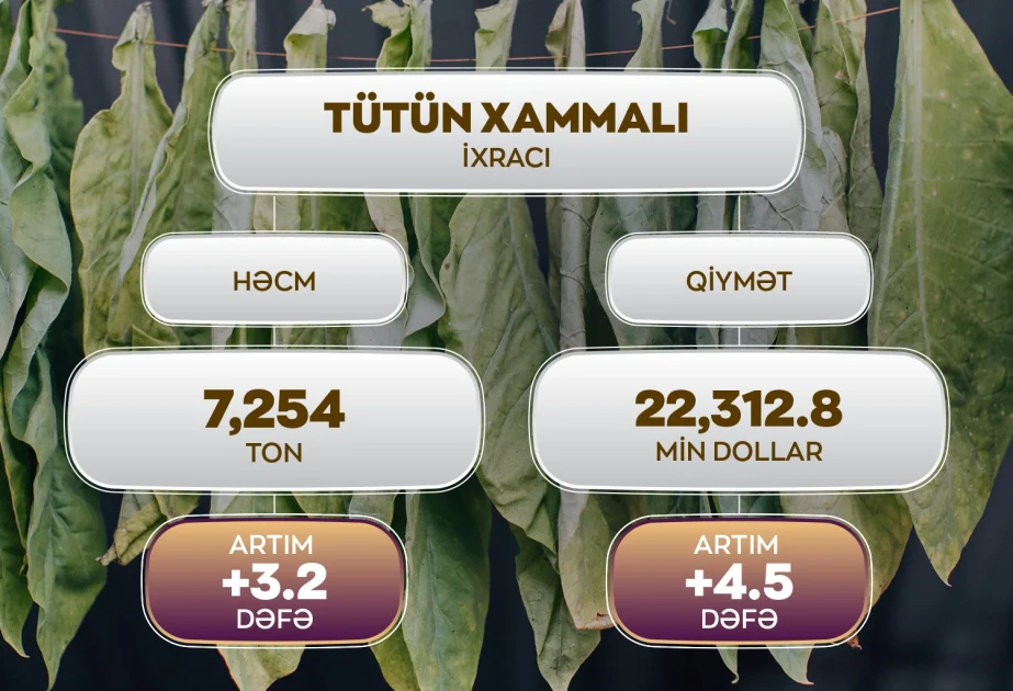 On bir ayda 7,254 ton tütün xammalı ixrac olunub