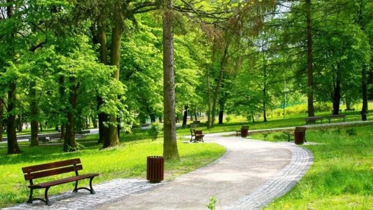 Azad edilmiş ərazilərdə yeni milli park yaradılacaq