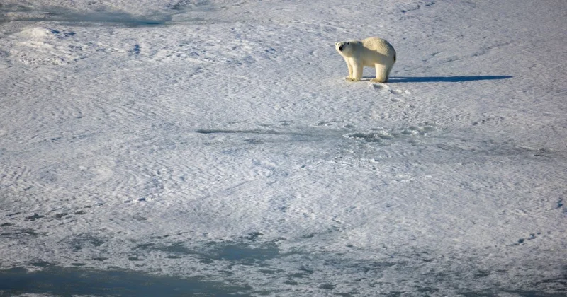 НАТО усиливает разведку вблизи границ России в Арктике Minval Politika