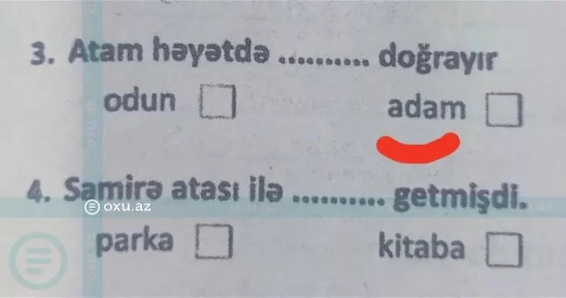 Задание Папа рубит во дворе… в учебниках для начальных классов?: ОФИЦИАЛЬНЫЙ ОТВЕТ