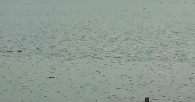 Urmiya gölündə həyat əlamətləri Ümidlər yenidən oyandı VİDEO