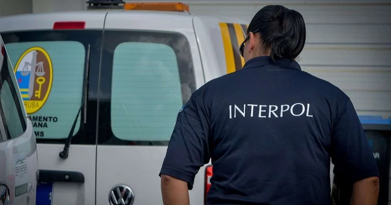 İnterpolun axtardığı şəxs Azərbaycana ekstradisiya edildi Qətldə şübhəli bilinir