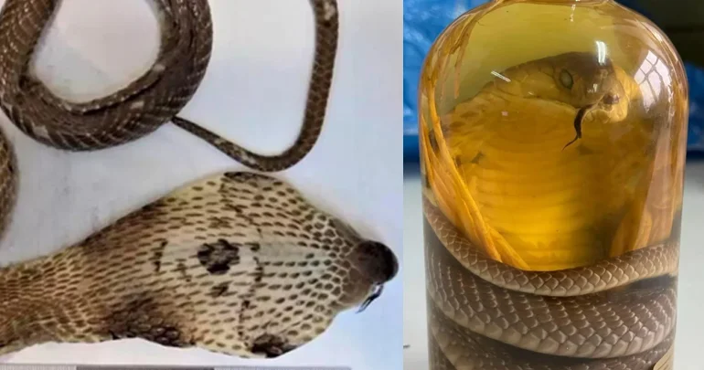 İlanlı içki rus qadına baha başa gəldi FOTO