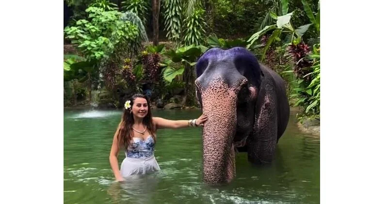 Азербайджанский модельер провела день среди слонов в Таиланде ВИДЕО
