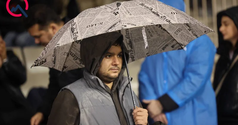 Vəziyyət niderlandcadır... Fotolar