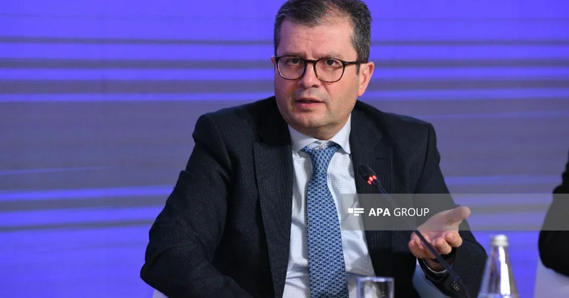 Эльман Абдуллаев указал на слабость механизмов конвенций ЮНЕСКО