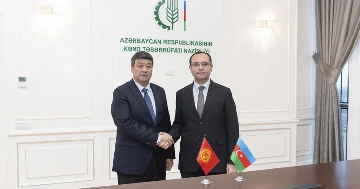 Кыргызстан изучит азербайджанский опыт агрострахования