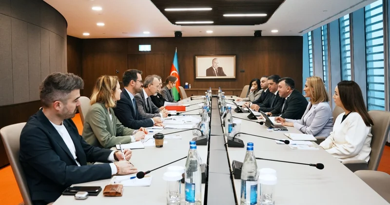 Обсуждены будущие направления сотрудничества между Азербайджаном и ОЭСР (ФОТО)