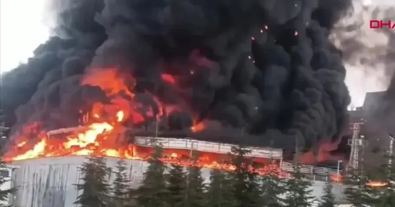 В Турции горит химзавод