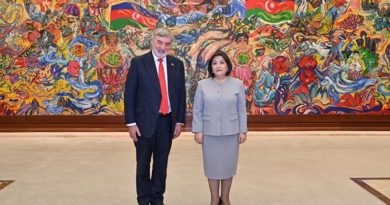 Председатель Милли Меджлиса обсудила межпарламентские связи с торговым посланником Великобритании