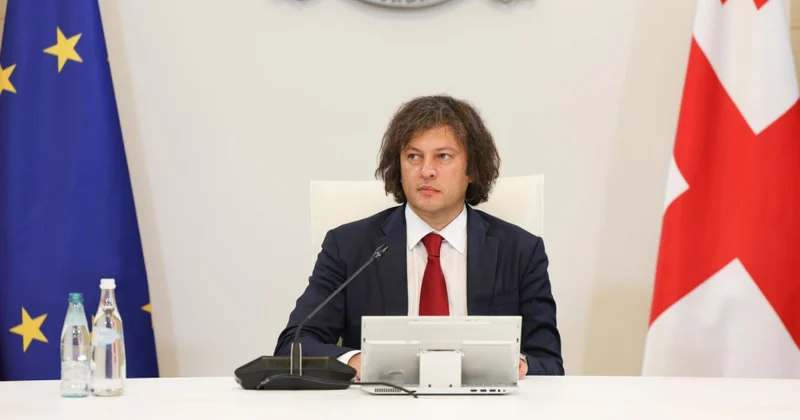 Gürcüstanda enerji şirkətlərinin dövlətə olan bir milyard larilik cərimələri silinəcək