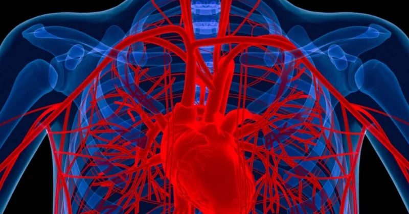 Alimlər xəstənin öz hüceyrələrindən damar hazırladı