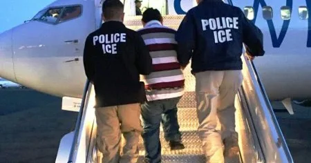 Samik Babayev Almaniyada tutularaq Azərbaycana ekstradisiya edildi