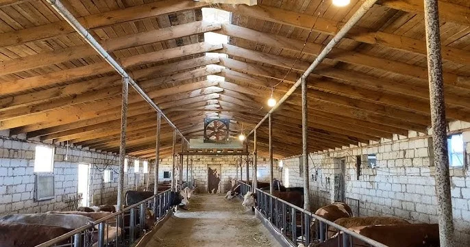 İcazəsiz tövlə tikən kəndlini nə gözləyir? KONKRET