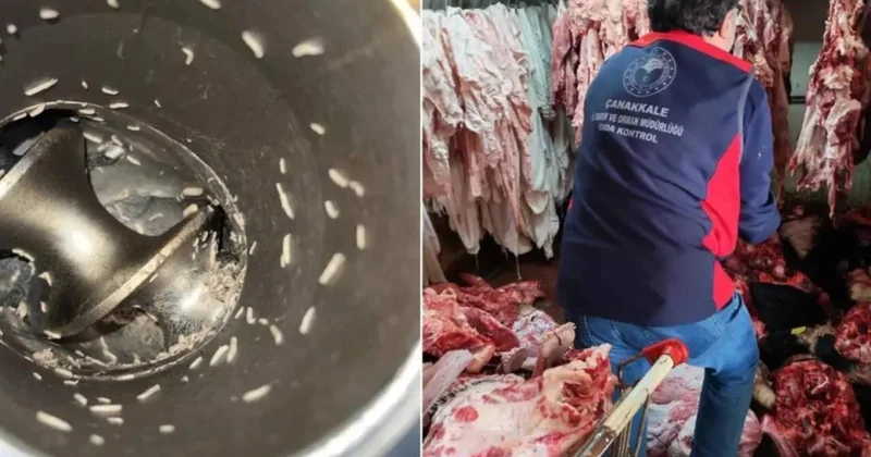 Ət maşınlarını qurd basıb İyrənc görüntülər VİDEO