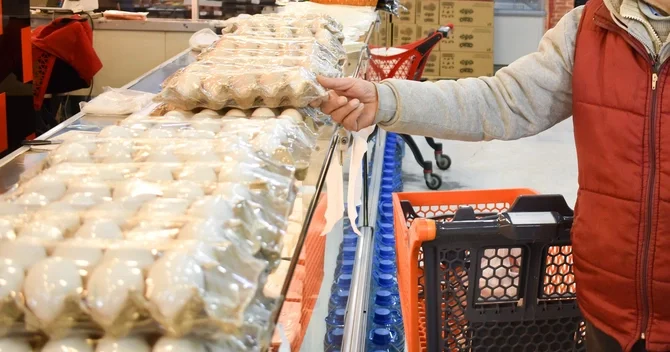 Yumurta biznesi ilə məşğul olmaq istəyənlər üçün SEVİNDİRİCİ XƏBƏR