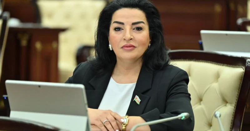 Dövlət maraqlarına qarşı yönəlmiş bütün cəhdlər qanunun sərt tələbləri əsasında qiymətləndiriləcəkdir