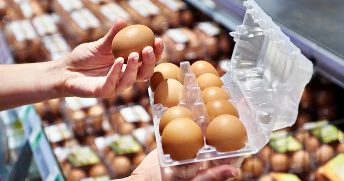 Marketdə satılan yumurtanın köhnə və ya təzə olmasını necə ayrıd edək? RƏSMİ CAVAB