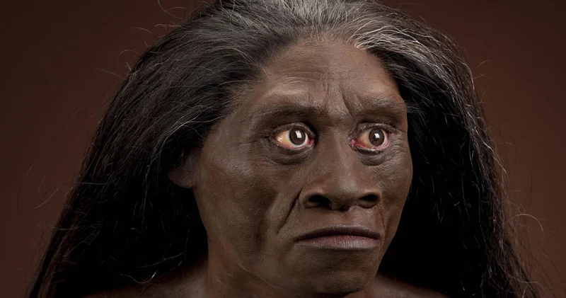 Alimlər hobbitlər in yoxa çıxamasının səbəbini açıqladı Yağışların azalması