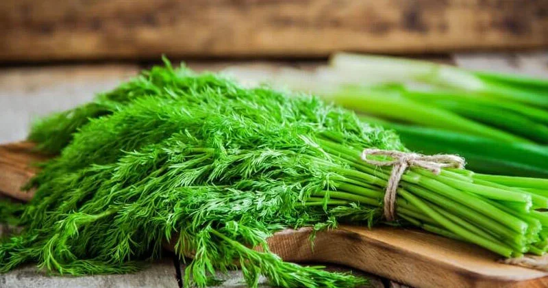 Dünyanın ən sağlam qidası şüyüd imiş... SİYAHI