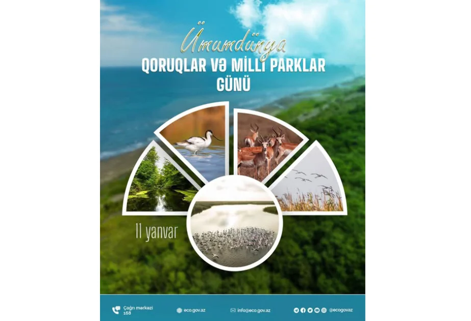 Bü gün Ümumdünya Qoruqlar və Milli Parklar Günüdür AZƏRTAC