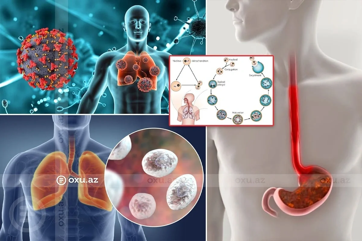 Yeni virus COVIDdən daha təhlükəlidir? Mütəxəssis izah edir