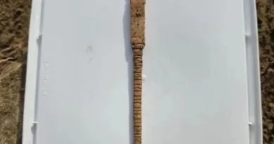 2 min illik xoşbəxtlik simvolu tapıldı