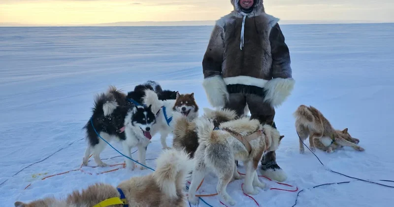 “Zlatan Qrenlandiyanı aldı” Fotolar