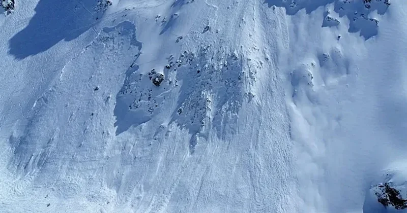 Во Франции из за схода лавин погибли три человека