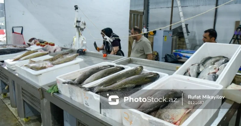 Balıq qıtlığı qapıdadır: Xəzərin çirklənməsi bazara necə zərbə vurur?