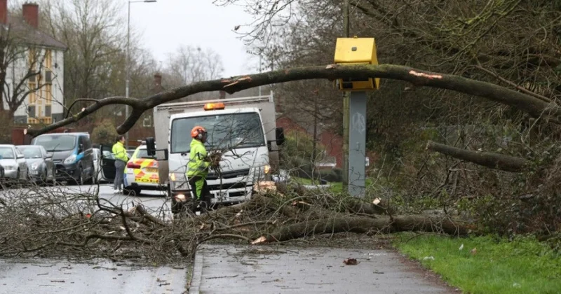Avstraliyada qasırğa 22 mindən çox insan işıqsız qaldı